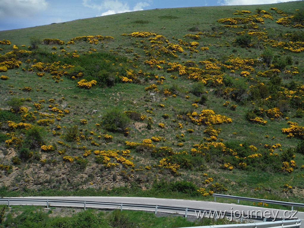 DSCF4058.JPG