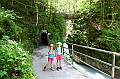 IMG_5625