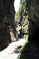 IMG_5656