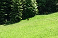 IMG_5683