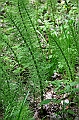 IMG_5703