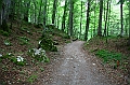 IMG_5706