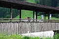 IMG_5734