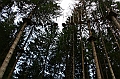 IMG_5738