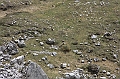 IMG_5766