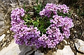 IMG_5818