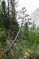 IMG_5879