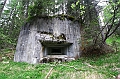 IMG_5886