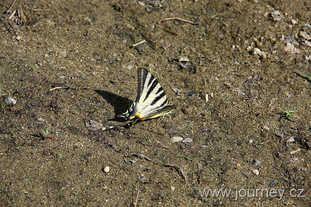 IMG_5930.JPG