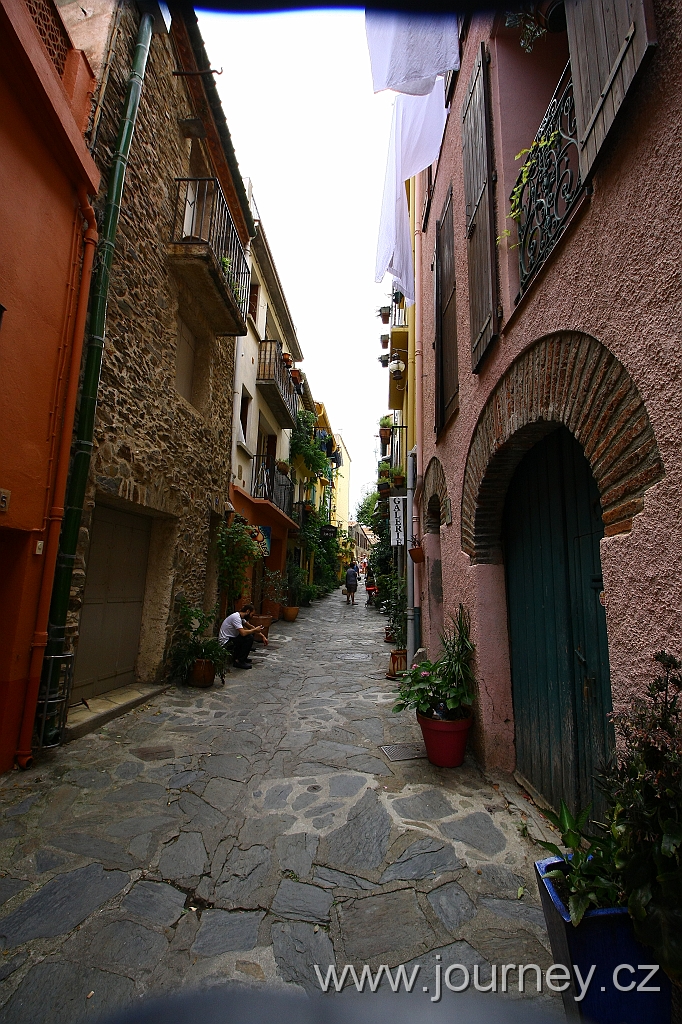 IMG_5965.JPG