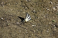 IMG_5930