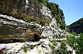 IMG_5953