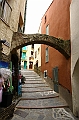 IMG_5966