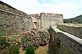 IMG_5992