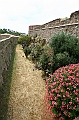 IMG_5993