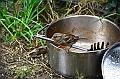 IMG_6074