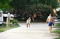 IMG_6207