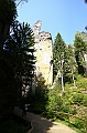 IMG_6844