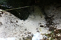 IMG_6868