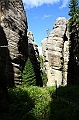 IMG_6883