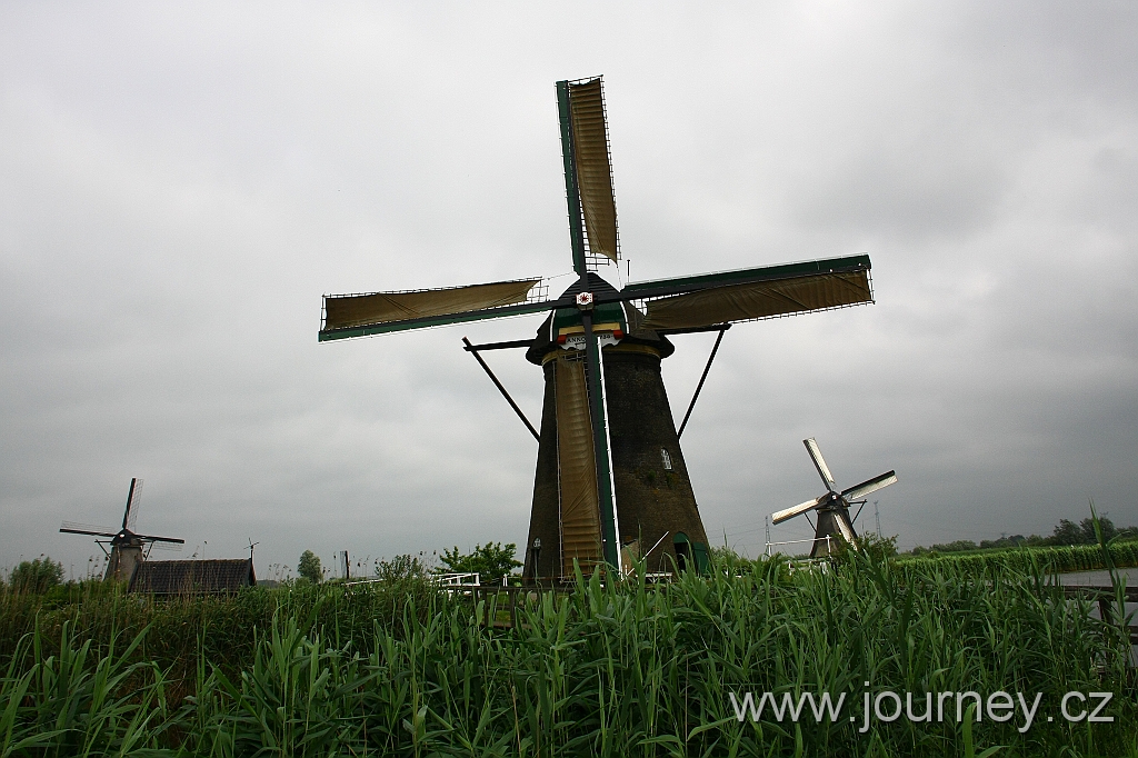 IMG_6477.JPG
