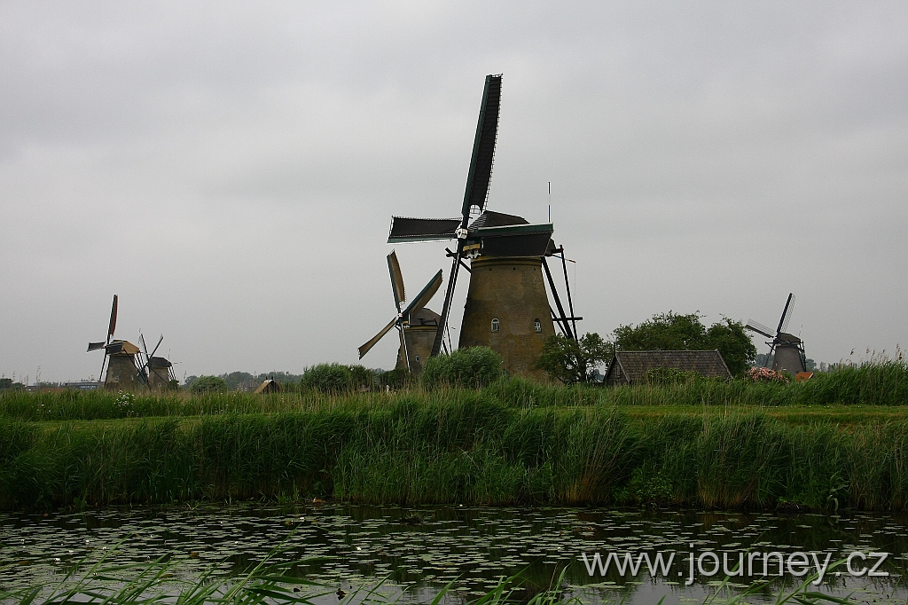 IMG_6478.JPG