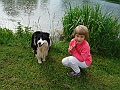 DSCF4784