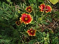 DSCF4792