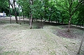 IMG_6259