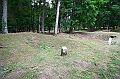 IMG_6261