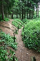IMG_6276