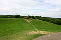 IMG_6297