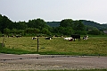 IMG_6326