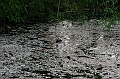 IMG_6329