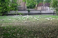 IMG_6442