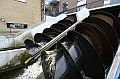 IMG_6453