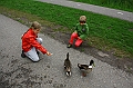 IMG_6460