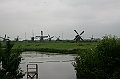 IMG_6481