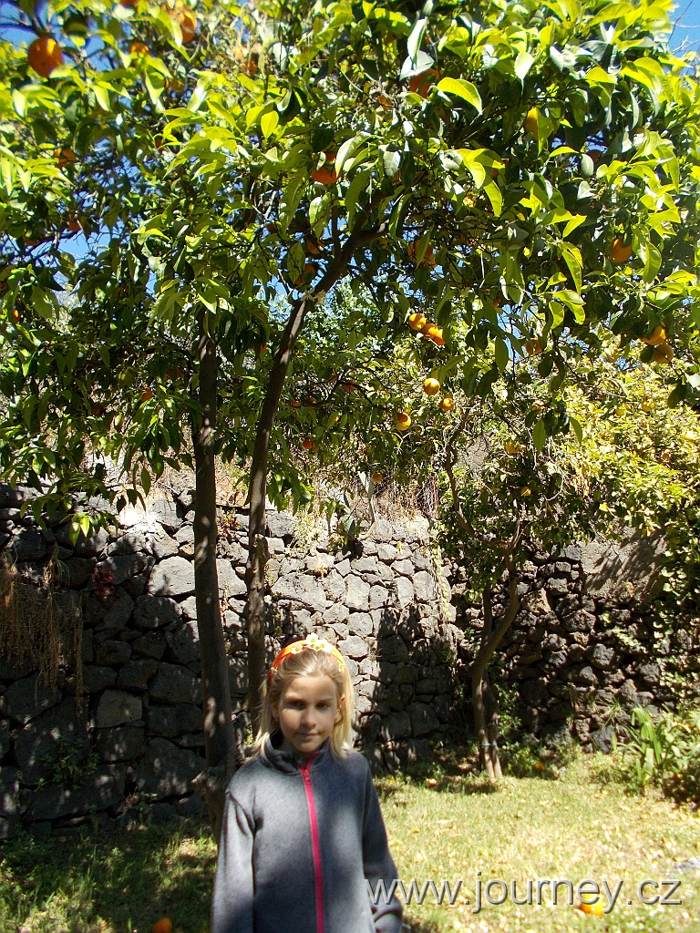 DSCN0259.JPG