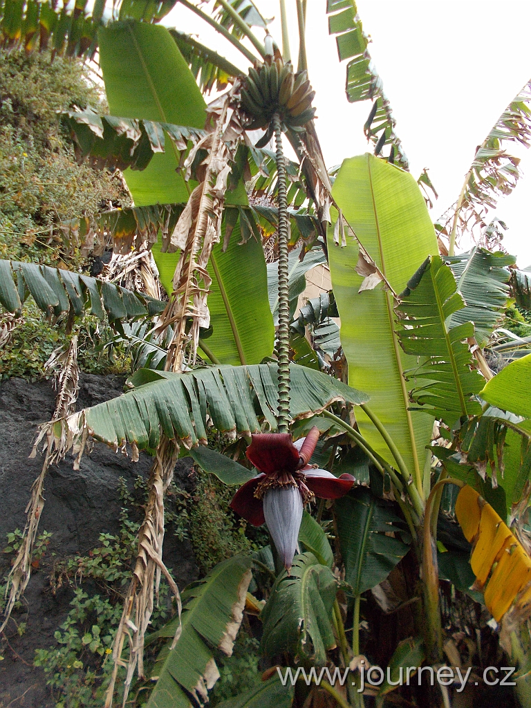 DSCN0306.JPG