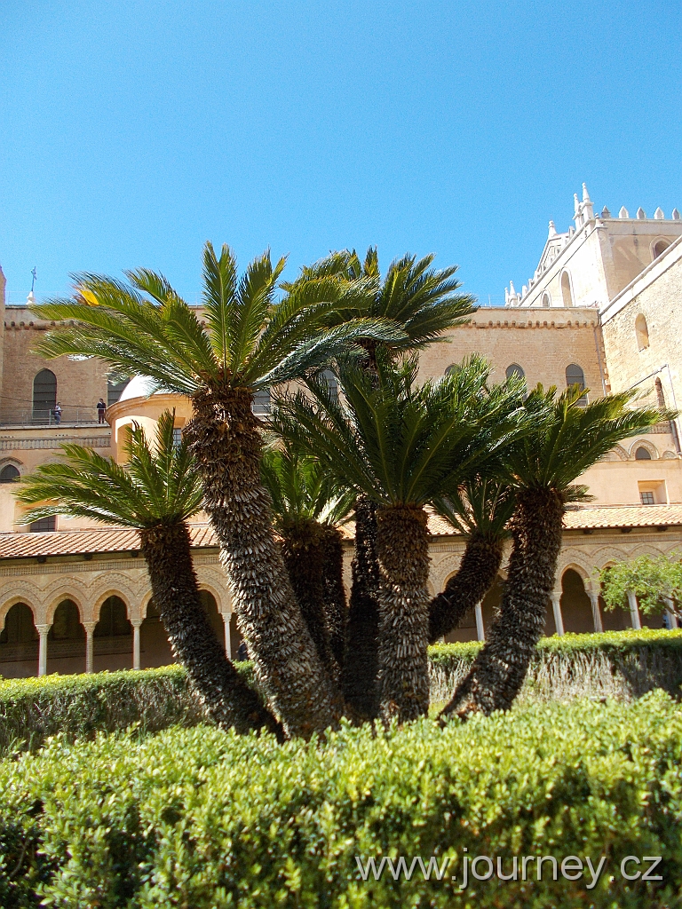 DSCN0527.JPG