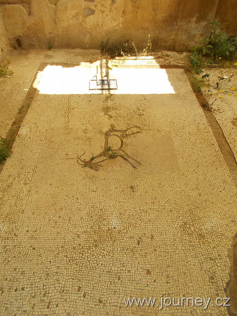DSCN0575.JPG