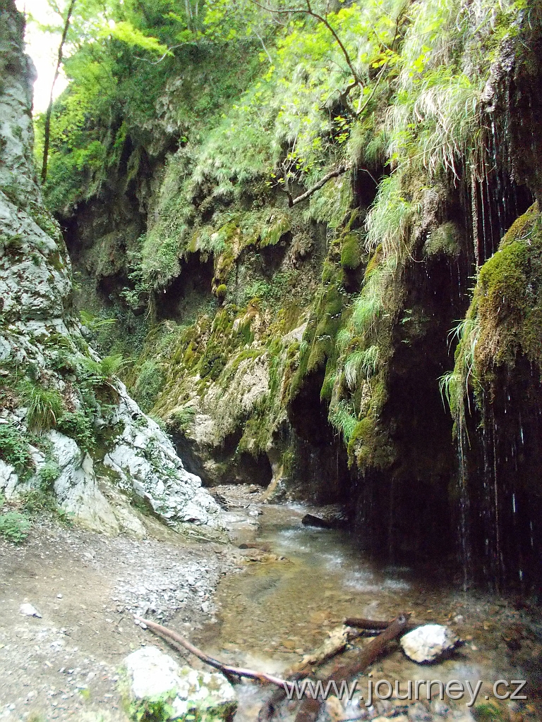 DSCN0613.JPG
