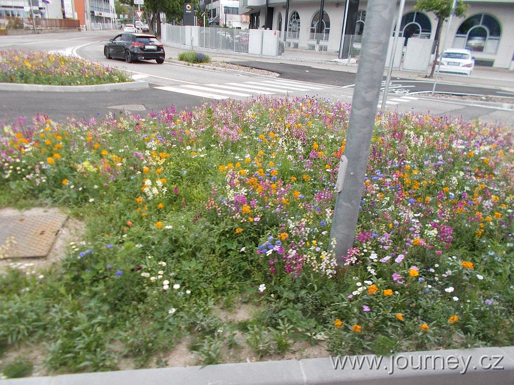 DSCN0664.JPG