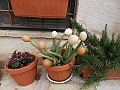 DSCN0047