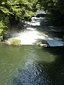 DSCN0101