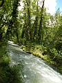 DSCN0139