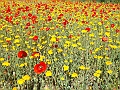DSCN0198