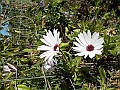 DSCN0200