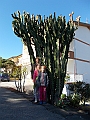 DSCN0202